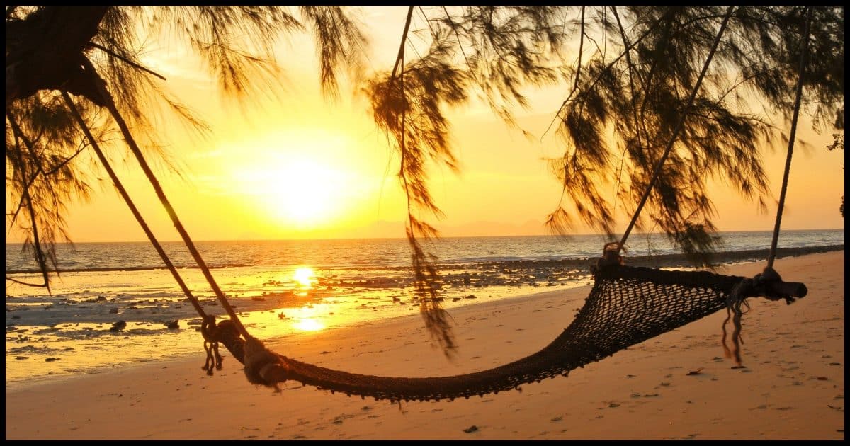 Hammock on the beach.